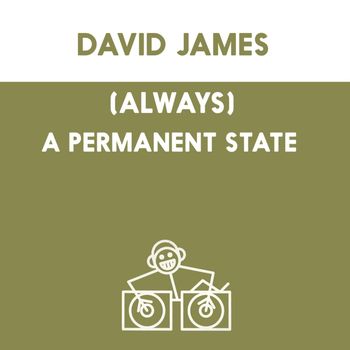 David James - (Always) A Permanent State (Always)