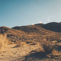 Michael Morgan - Sea Is for Carpentry