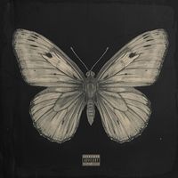 Las - motylek. (Explicit)