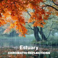 chromatic reflections - Estuary