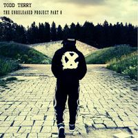 Todd Terry - The Unreleased Project Pt. VIII