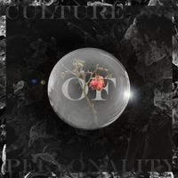 SEED - Culture of Personality