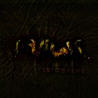 MULK - Testo Y Sterie (Explicit)