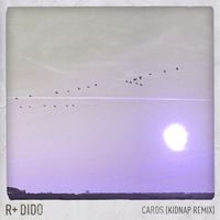 R Plus, Dido - Cards (Kidnap Remix)