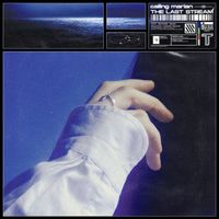 Calling Marian - The Last Stream