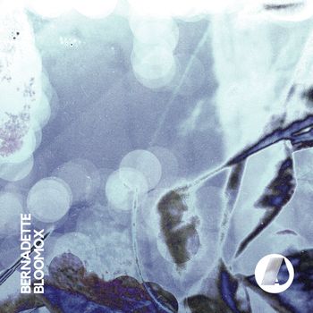 Bernadette - Bloomox