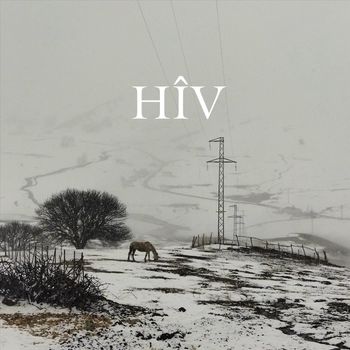 Ziz - Hiv
