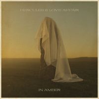 Hercules & Love Affair - In Amber (Remixes)