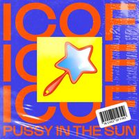IN CASE OF FIRE - Pussy In The Sun (Explicit)
