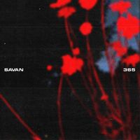 SAVAN - 365