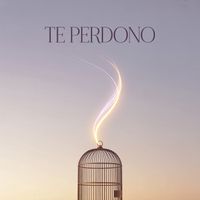 VIBRA - Te Perdono