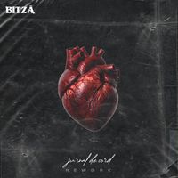 Bitza - Jurnal de cord (Rework)