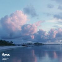 pillow - liquid echo