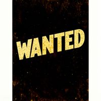 The Lodger - Wanted