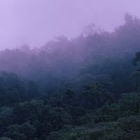 Tim Schaufert - Some People Stay