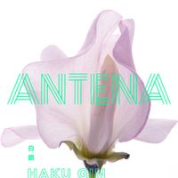ANTENA - 白銀