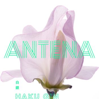ANTENA - 白銀