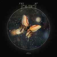ukka - TOUTOI