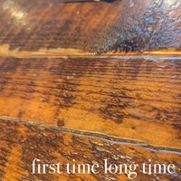 Brian Ales - First Time Long Time