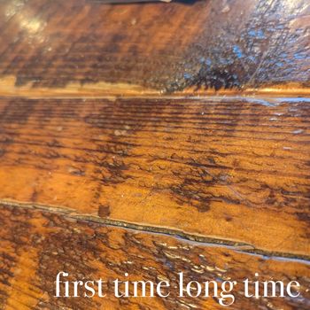 Brian Ales - First Time Long Time
