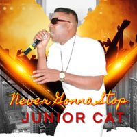 Junior Cat - Never Gonna Stop