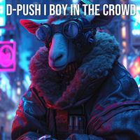 D-Push - Boy in the Crowd