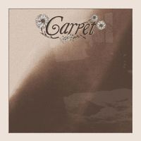 Carpet - Soft and Hidden