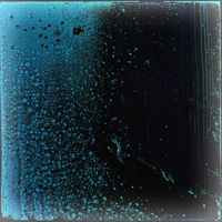 CARMICHAEL - SHIFT