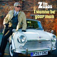 The Zedds - I Wanna Be Your Man