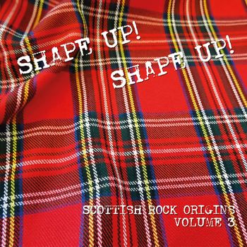 Various Artists - Shape Up, Vol. 3