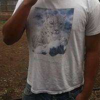socra - snow leopard