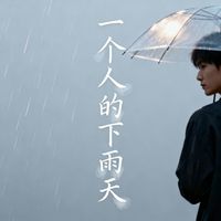 忘崽 - 一个人的下雨天
