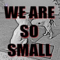 Torres - We are so small