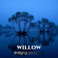 Purple Holiday - Willow