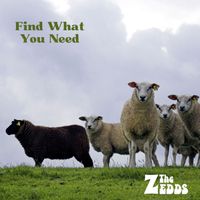 The Zedds - Find What You Need