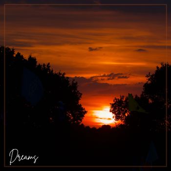 Violet - Dreams