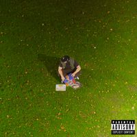 Trex - as per (Explicit)