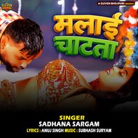 Sadhana Sargam - Malai Chatata