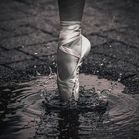 Rom - Pinnacle of Grit