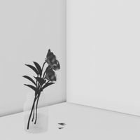 Ukiyo - To feel alive