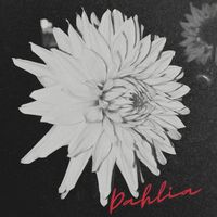 Daniel Stark - Dahlia