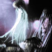 MINA - we are all sheep