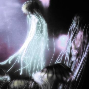 MINA - we are all sheep