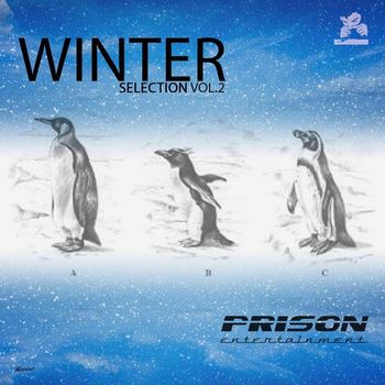 Various Artists - Winter Selection, Vol. 2