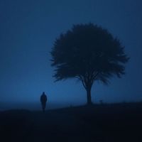 sadtones - the soul is lost here