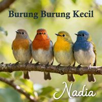 Nadia - Burung Burung Kecil