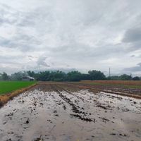 Andromeda - Sweet Memories