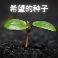 GAS - 希望的种子