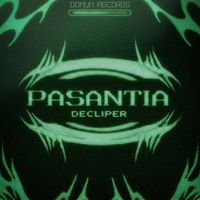 Decliper - Pasantia