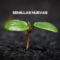 GAS - Semillas Nuevas